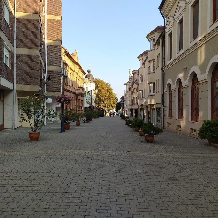 Krénusz Vendégház. Kaposvár Extérieur photo