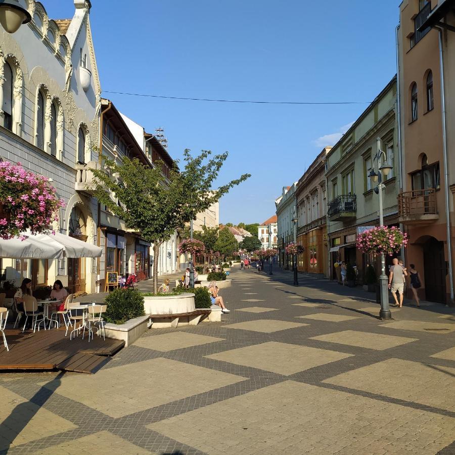 Krénusz Vendégház. Kaposvár Extérieur photo